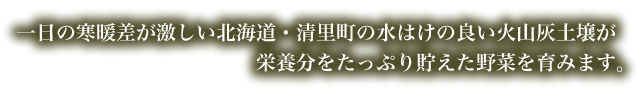 一日の寒暖差が激しい北海道・清里町の水はけの良い火山灰土壌が栄養分をたっぷり貯えた野菜を育みます。